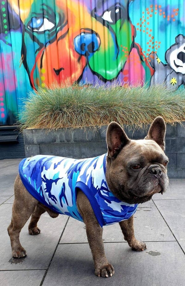 Caren B Hondenshirt Camo Blue