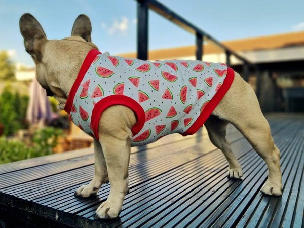 Caren B Hondenshirt Melon Rouge