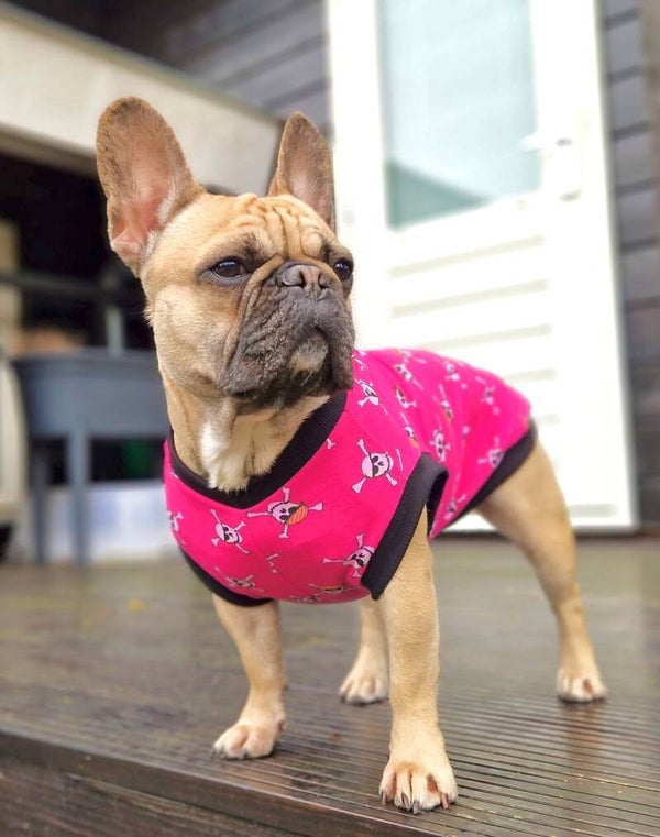 Caren B hondenshirt Pink Pirate