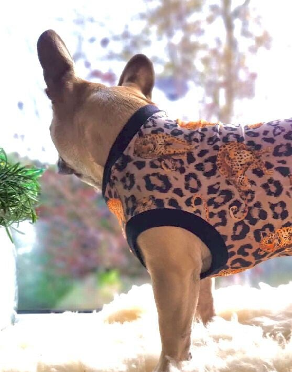 Caren B Hondenshirt Leopard Luxury