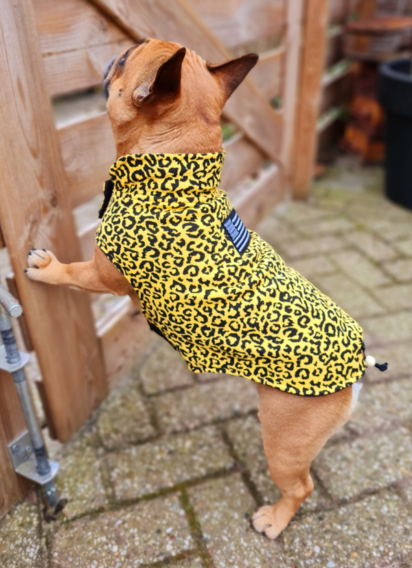 Caren B hondenjas yellow leopard