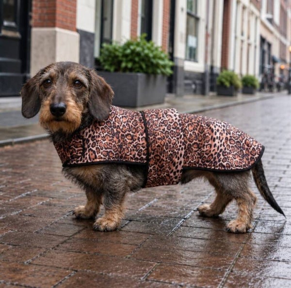 Caren B Teckeljas Urban Panther
