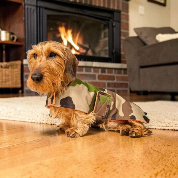 Caren B hondenjas One Dog Army voor teckels