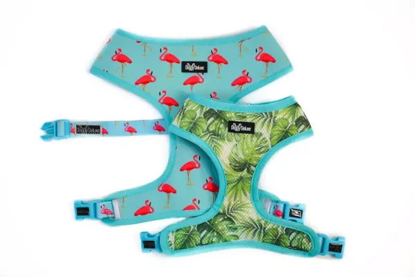 Complete set tuig en riem Flamingo