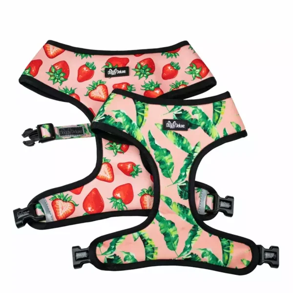 Complete set tuig en riem Summer Mocktail