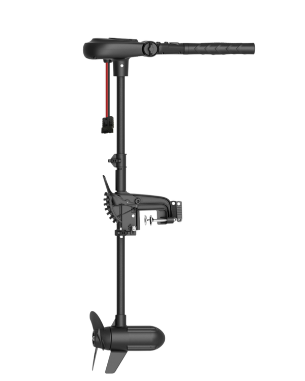Haswing Protruar 1.0 / BRUSHLESS