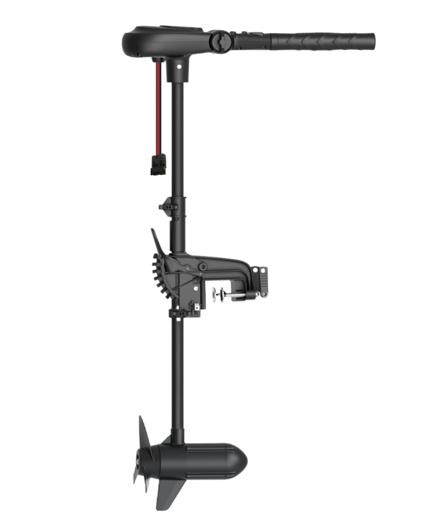 Haswing Protruar 2.0 / BRUSHLESS