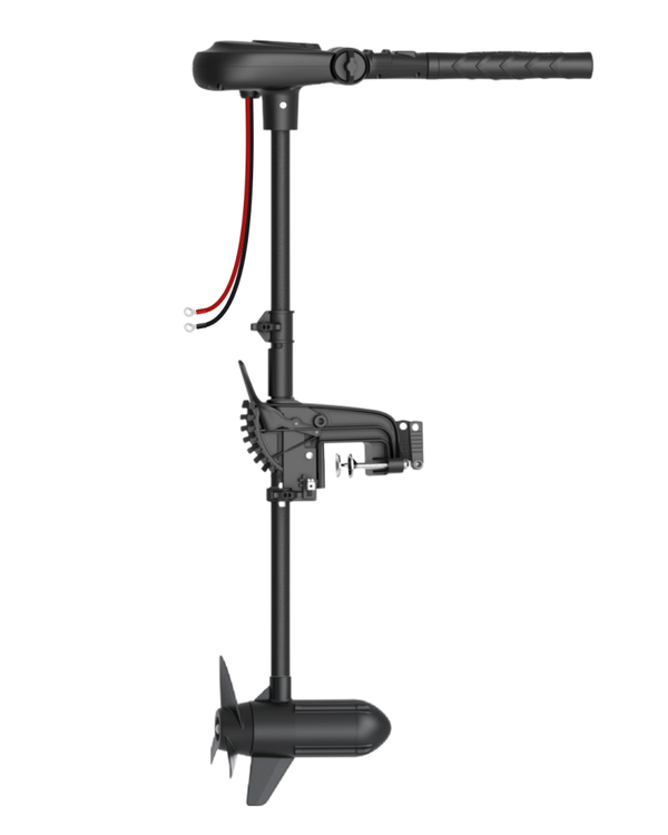 Haswing Protruar 2.0 / BRUSHLESS