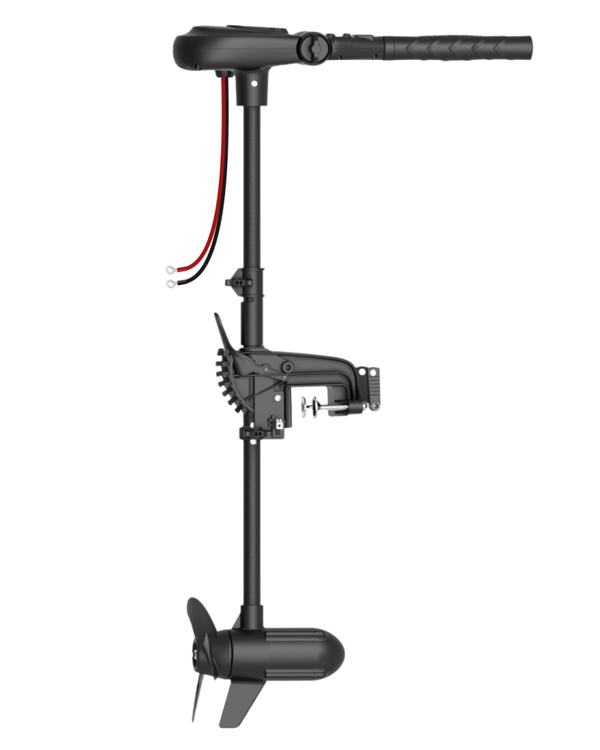 Haswing Protruar 1.0 / BRUSHLESS
