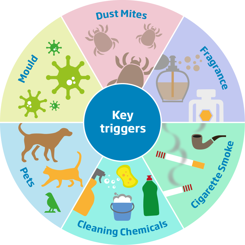 Key asthma and allergy triggers found in the home environment 