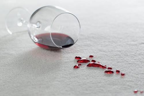 Eco-friendly stain guard for carpets and upholstery Wakefield | Bioshield360