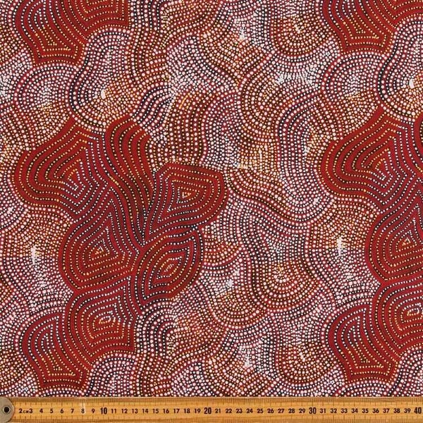 Warlu Mina Mina Jukurrpa (Ngalyipi)