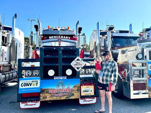 Truck Bug Deflector Stickers