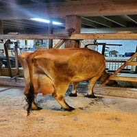 stall04-standard.jpg