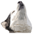 Fotoplüsch