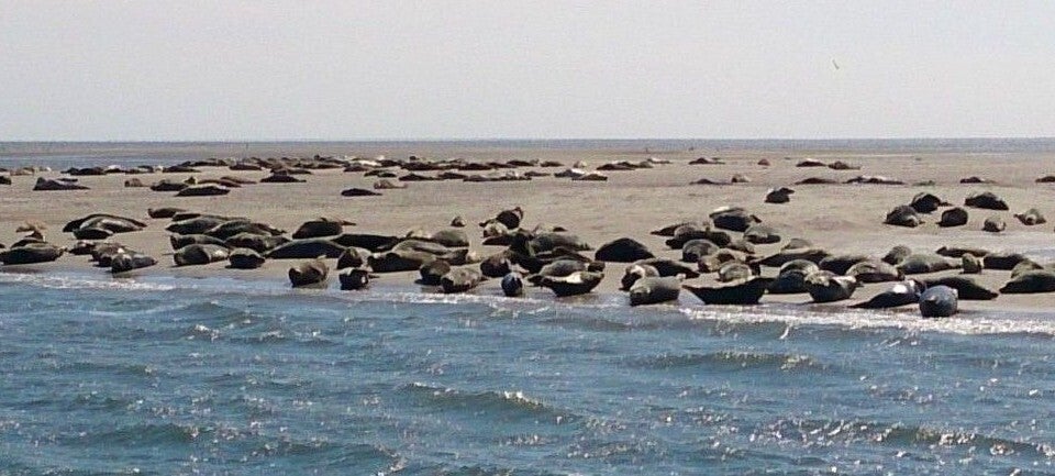 De Krim vakantie Texel