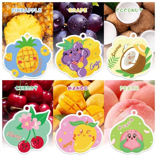 Désodorisants auto ou intérieur de maison. Lot de 6.