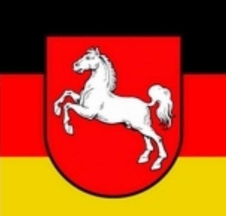 Lot PLAY-BIG Vintage Allemagne : 5680, 5940, 5904, 5742 - Esso, Cheval, école, Hôpital, Pièces