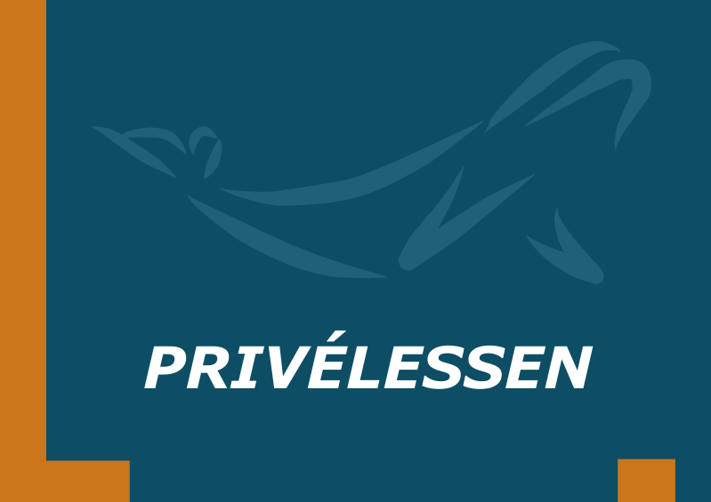 Prive losse lessen