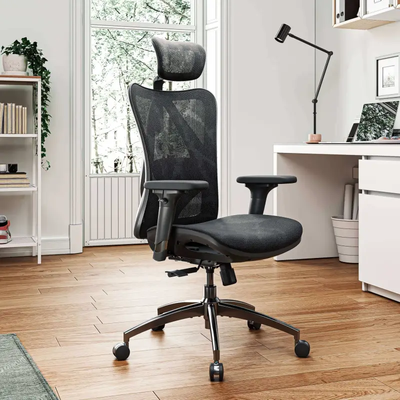 chaise ergonomique du bureau