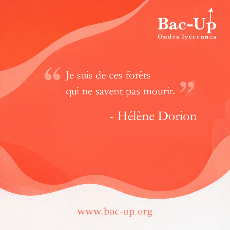 Hélène Dorion : "Je suis de ces forêts qui ne savent pas mourir. "