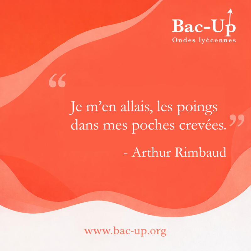 rimbaud-standard-mnqfbi.png