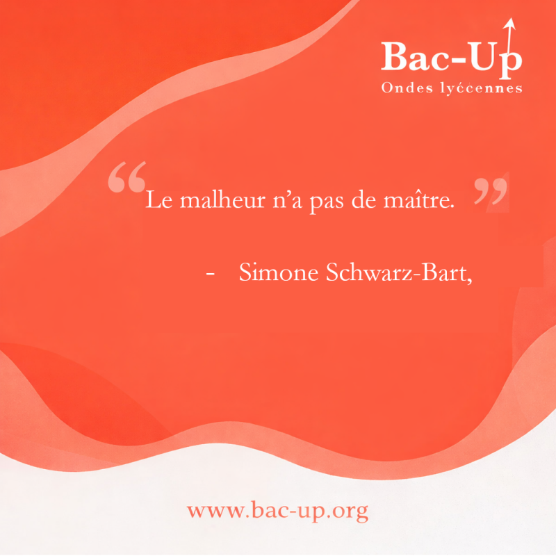 swarz-bart-standard-8fq2hu.png