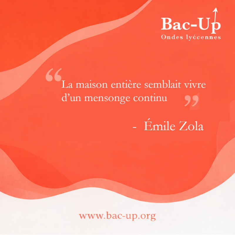 zola-standard-lt0fqg.png