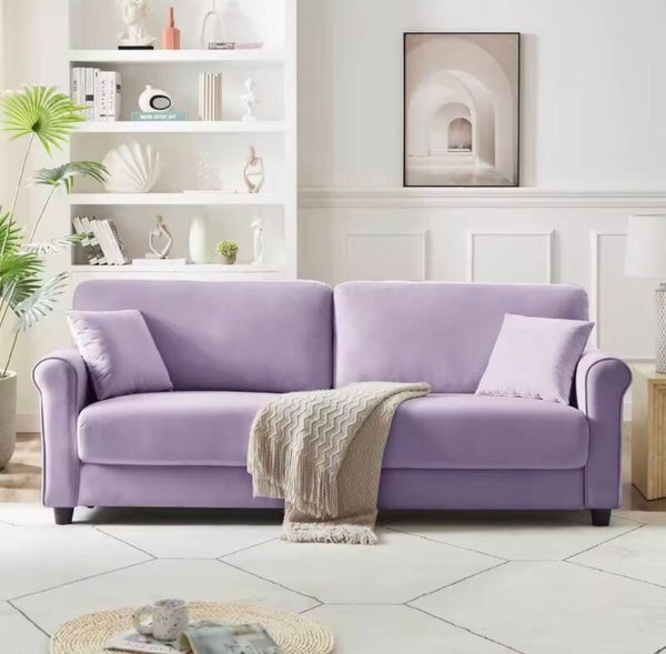 Modern Loveseat Sofa for Living Room,Love Seat with 2 Seater,Velvet Loveseat Sofa,Small Couch for Living, Customized