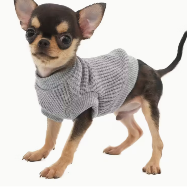 Lekkie Swetry Dla Szczeniąt Małych Psów