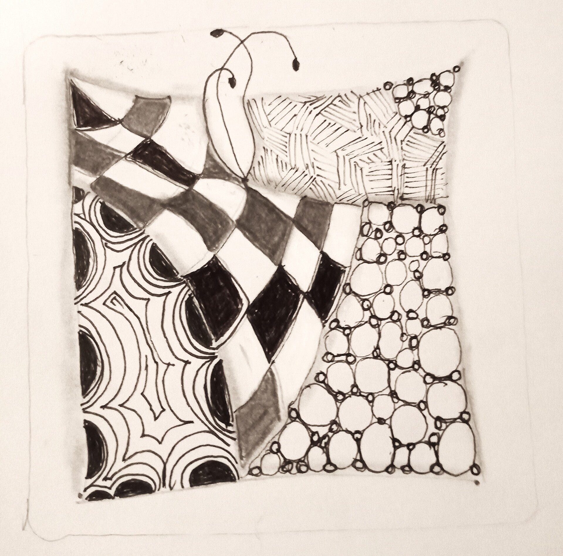 zentangle, debutant, motifs, meditation