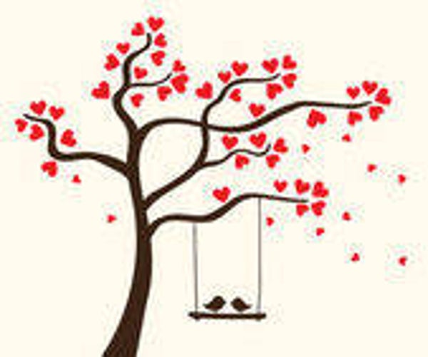 Tekenen vanuit natuurverbondenheid