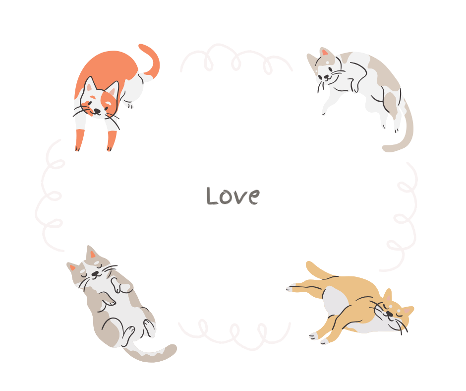 Dier aan het woord - Talen van liefde