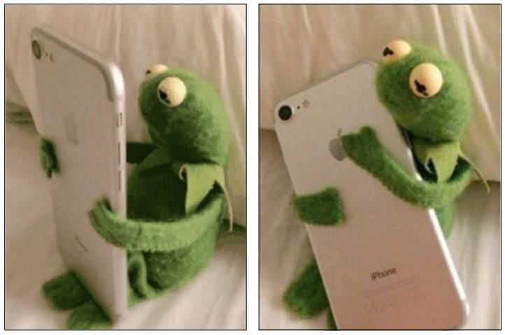 Kermit Online Affair