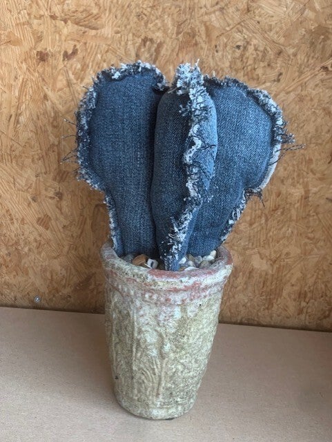 cactus jeans