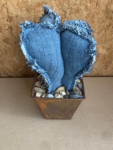 Jeans cactus in metalen potje