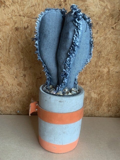 jeans cactus grijze pot