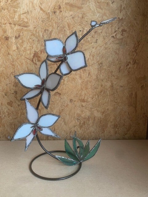 Orchidee met 3 bloemen op staander