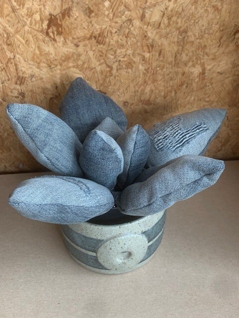 jeans vetplant