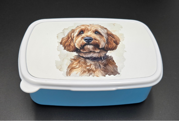 Lunchbox Labradoodle