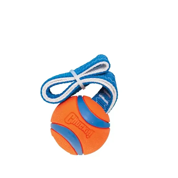 Chuckit! Ultra Tug M