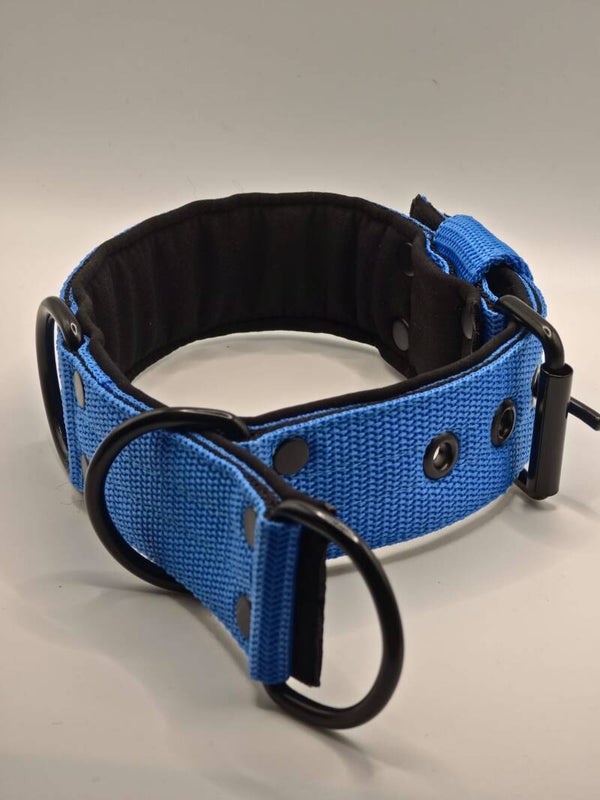 2 in 1 halsband met half check functie. Blauw met zwart neopreen