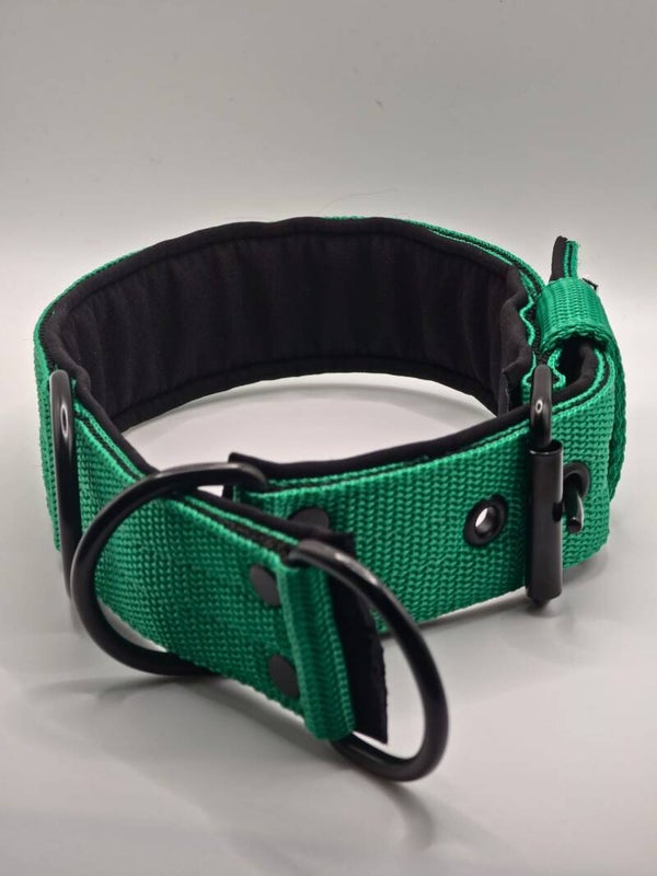 2 in 1 halsband met half check functie. Groen met zwart neopreen