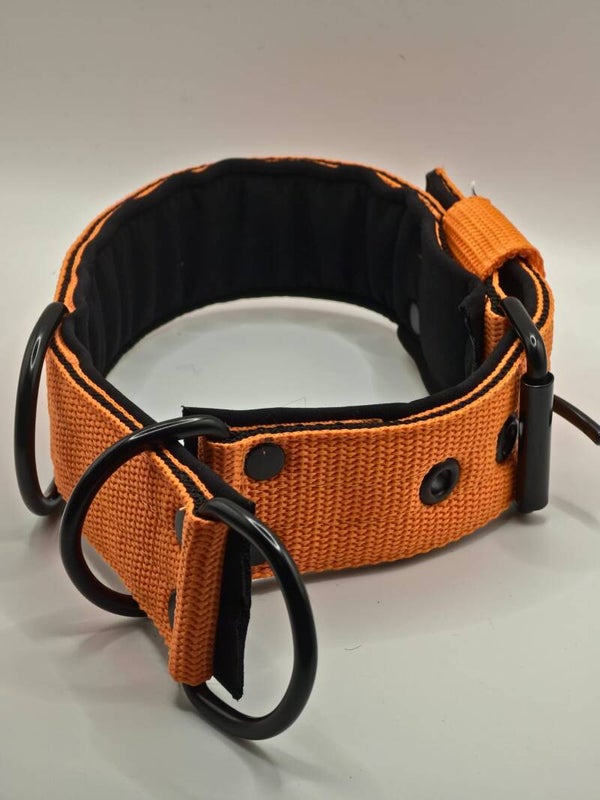 2 in 1 halsband met half check functie. Oranje met  zwart neopreen