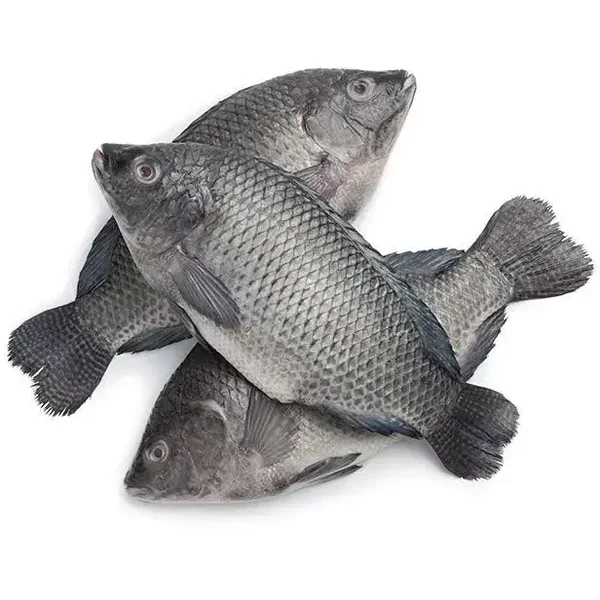 CARTON TILAPIA 3.2KG