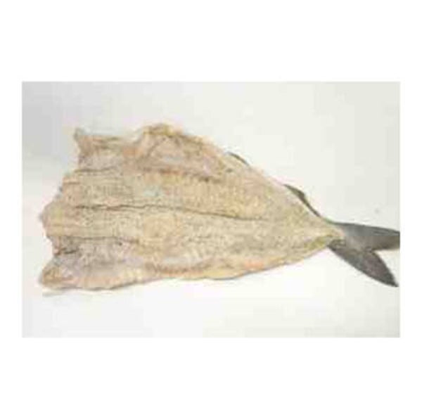 LIEU SALE SECHE 21/30 1kg