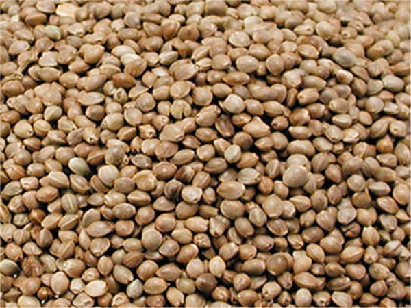 Kemp 3 Kg