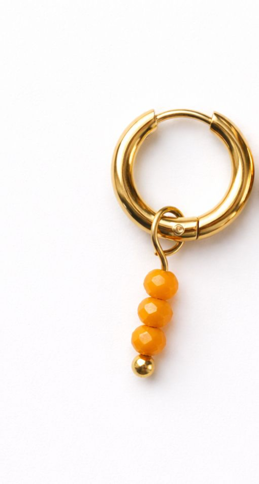 Bedel Facetkralen Oranje Goud of Zilver