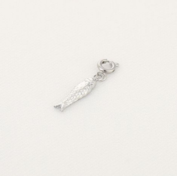 Bedel Vis Zilver