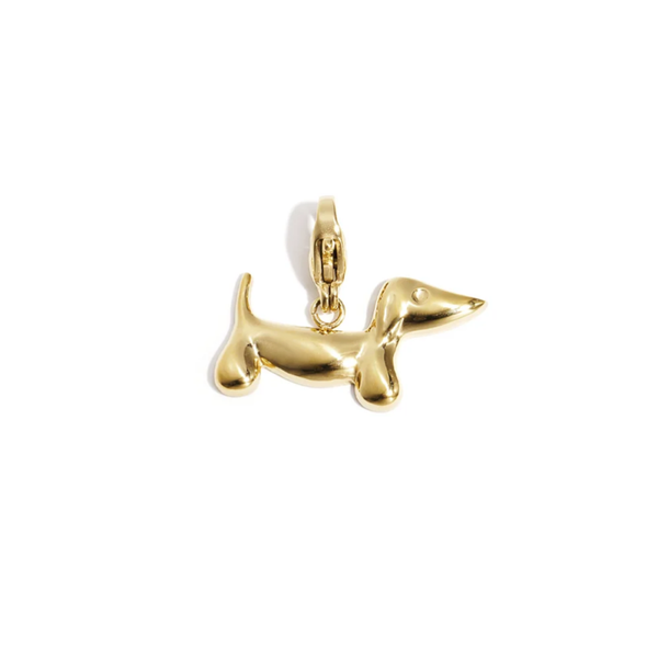 Bedel Teckel met bevestiging, Goud